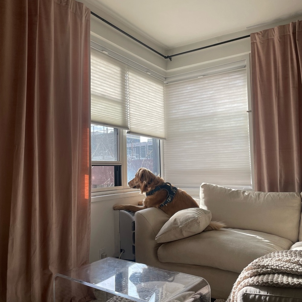 West Elm Luster Velvet Curtain pink Dusty Blush Set of 2 96”